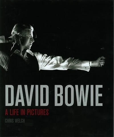 David Bowie A Life In Pictures