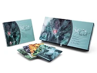The Son Tarot: Mysticism, Meditation, And Divination For Gay Men