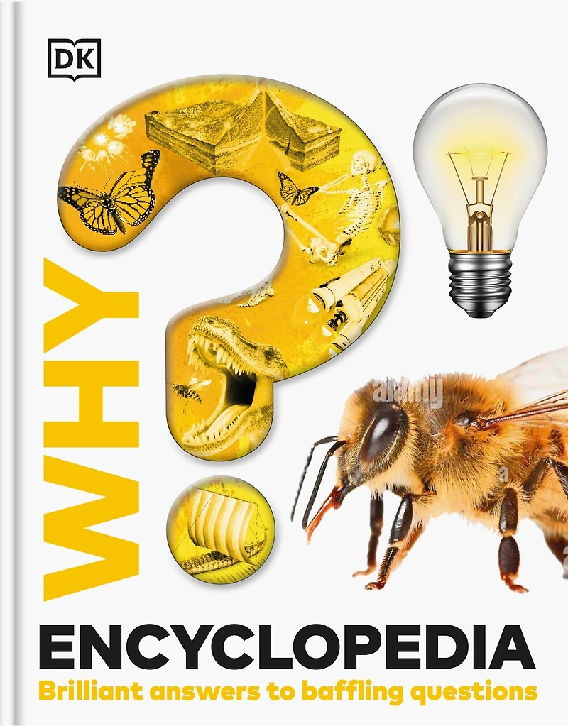 Why? Encyclopedia: Brilliant Answers to Baffling Questions