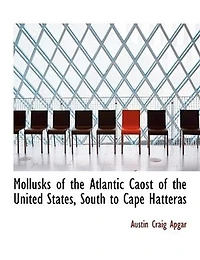 Mollusks of the Atlantic Caost United States, South to Cape Hatteras