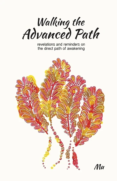 Walking the Advanced Path: Revelations and Reminders on the Direct Path of Awakening