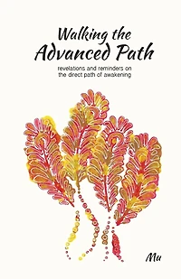 Walking the Advanced Path: Revelations and Reminders on the Direct Path of Awakening
