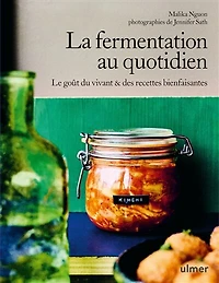 La fermentation au quotidien: le goût du vivant & des recettes bienfaisantes