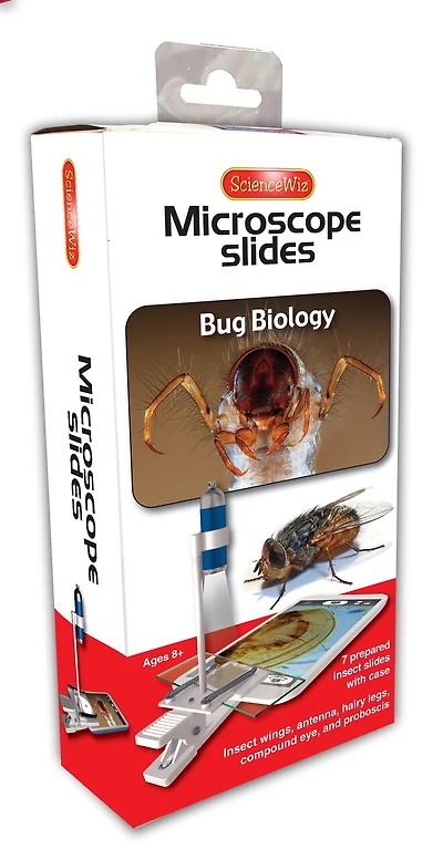 Microscope Slides: Bug Biology Slides (set of 7)