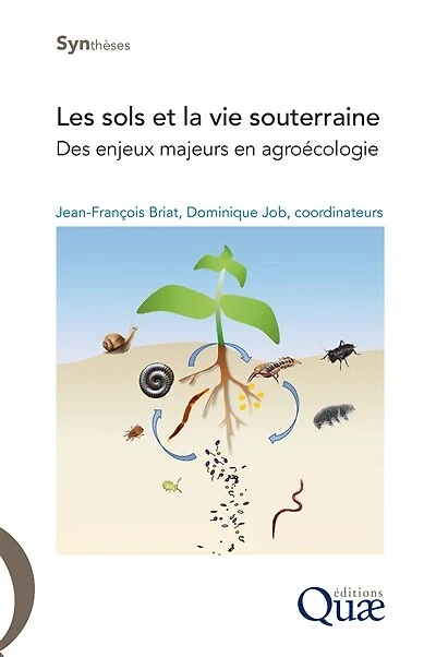 Les sols et la vie souterraine: Des enjeux majeurs en agroécologie