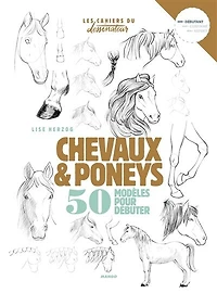 Chevaux & poneys: 50 modèles pour débuter