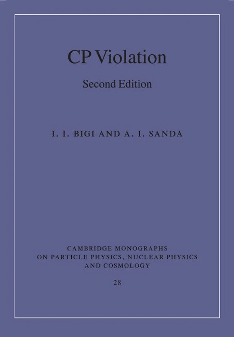 CP Violation