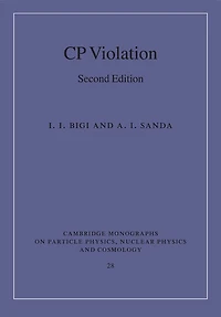 CP Violation