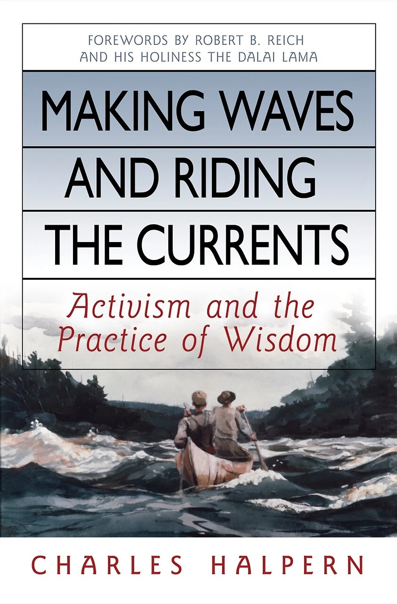 Making Waves and Riding the Currents: Activism Practice of Wisdom