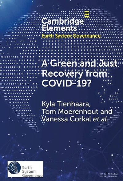 A Green and Just Recovery from COVID-19?: Government Investment the Energy Transition during Pandemic