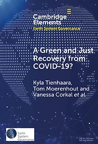 A Green and Just Recovery from COVID-19?: Government Investment the Energy Transition during Pandemic
