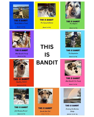 This is Bandit: A Children’s Book Series