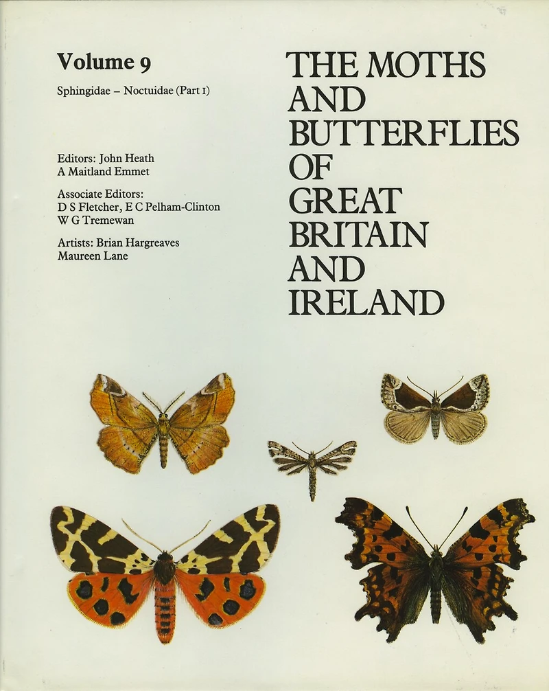 Sphingidae - Noctuidae (Noctuinae Hadeninae)
