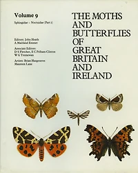 Sphingidae - Noctuidae (Noctuinae Hadeninae)