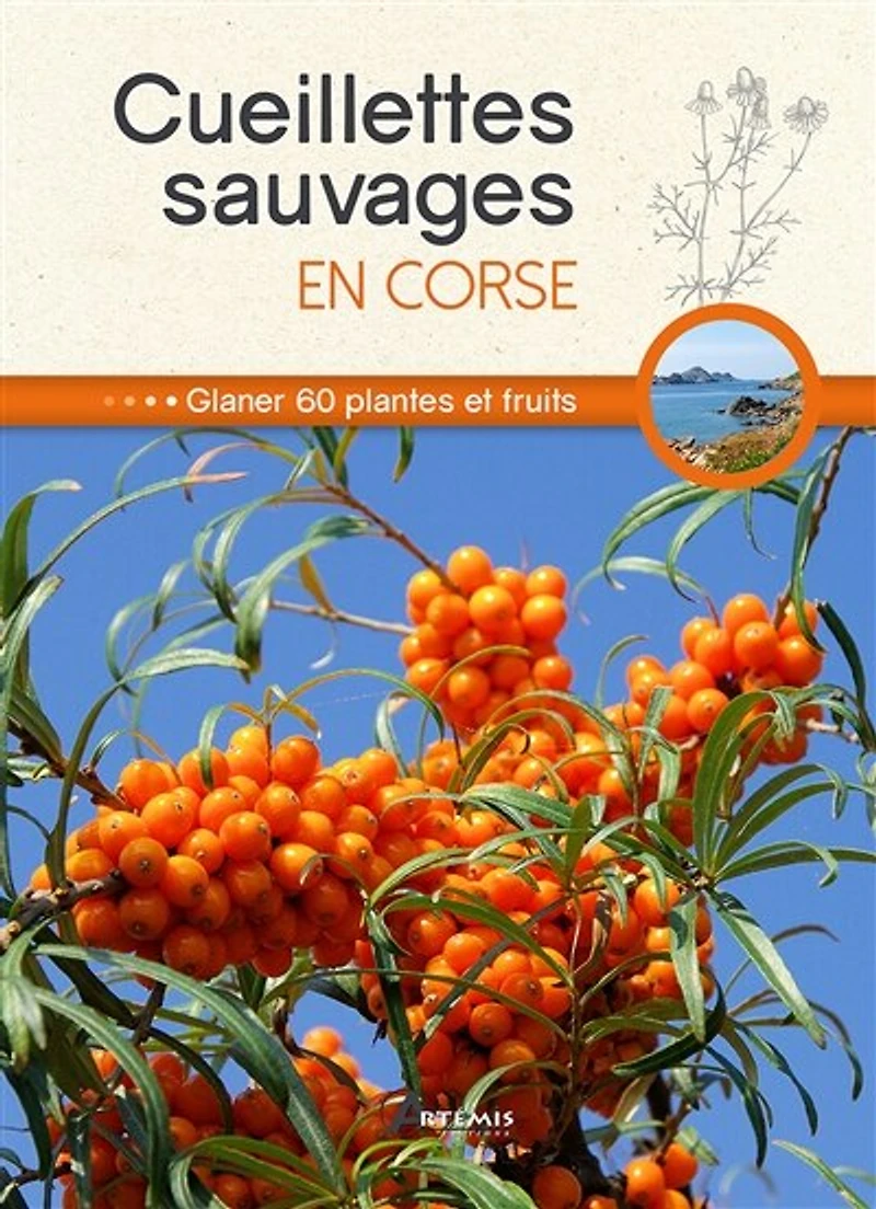Cueillettes sauvages en Corse: glaner 60 plantes et fruits