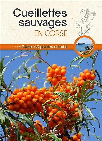 Cueillettes sauvages en Corse: glaner 60 plantes et fruits
