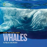 Face to with Whales