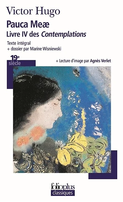 Pauca meae: (livre IV des Contemplations)
