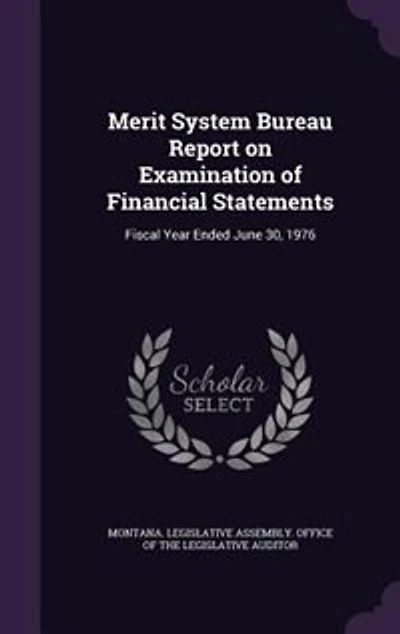 Merit System Bureau Report on Examination of Financial Statements: Fiscal Year Ended June 30, 1976: 1976