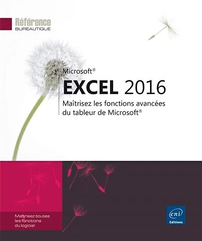 Excel 2016: maîtrisez les fonctions avancées du tableur Microsoft