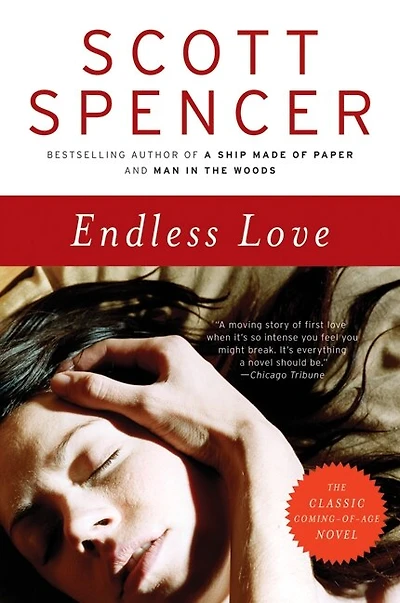 Endless Love: A Novel