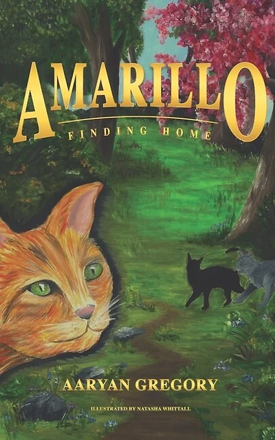 Amarillo: Finding Home