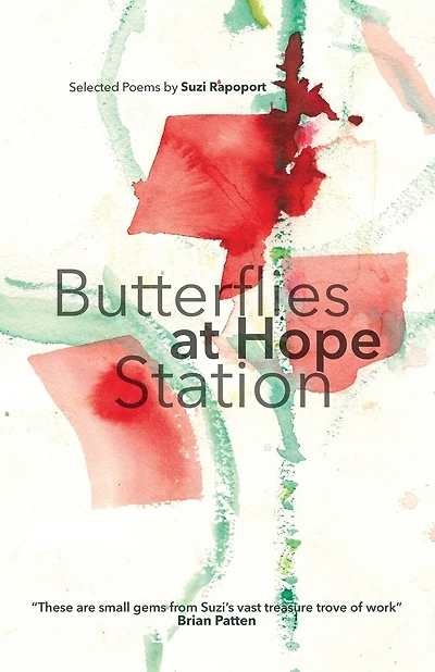 Butterflies at Hope Station