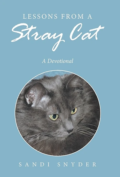 Lessons from A Stray Cat: Devotional