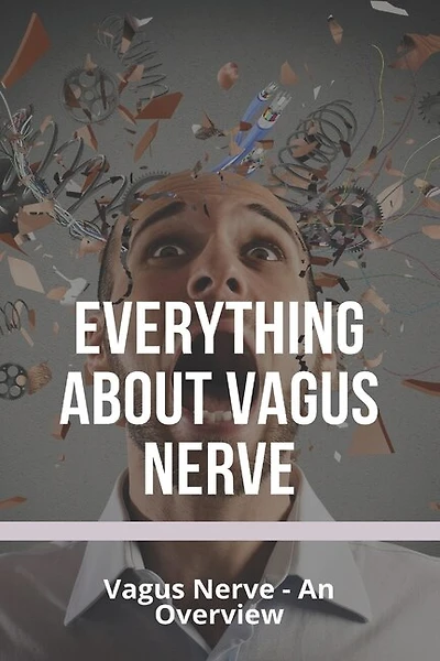 Everything About Vagus Nerve: Vagus Nerve - An Overview: Vagus Nerve Damage