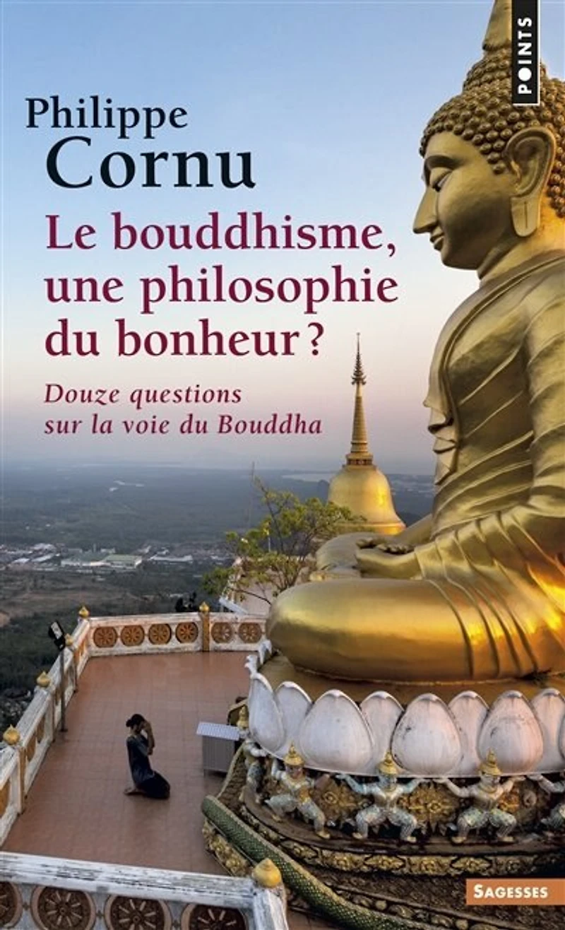 Le bouddhisme, une philosophie du bonheur ?: douze questions sur la voie du Bouddha