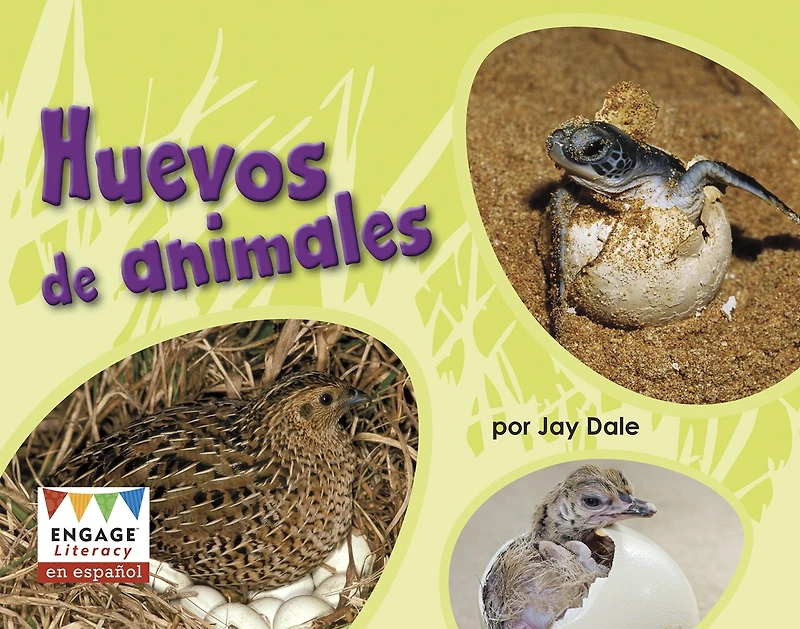 Huevos de animales (Animal Eggs)
