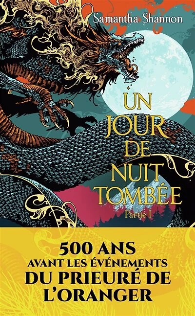 JOUR DE NUIT TOMBÉE PARTIE 1