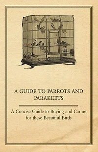 A Guide to Parrots and Parakeets - Concise Buying Caring for These Beautiful Birds