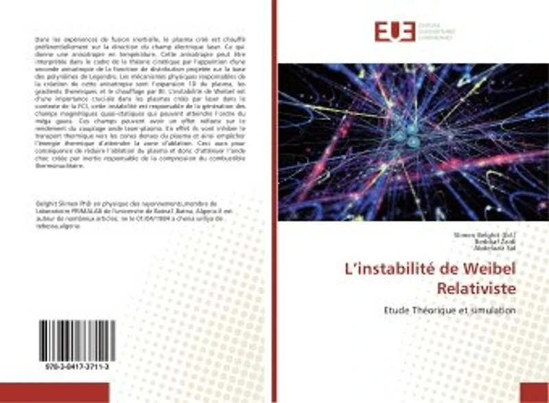 L' instabilite de Weibel Relativiste: Etude theorique et simulation
