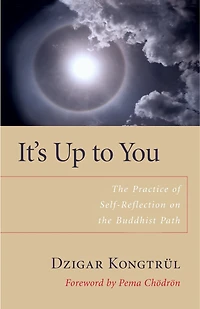 It's Up to You: the Practice of Self-Reflection on Buddhist Path