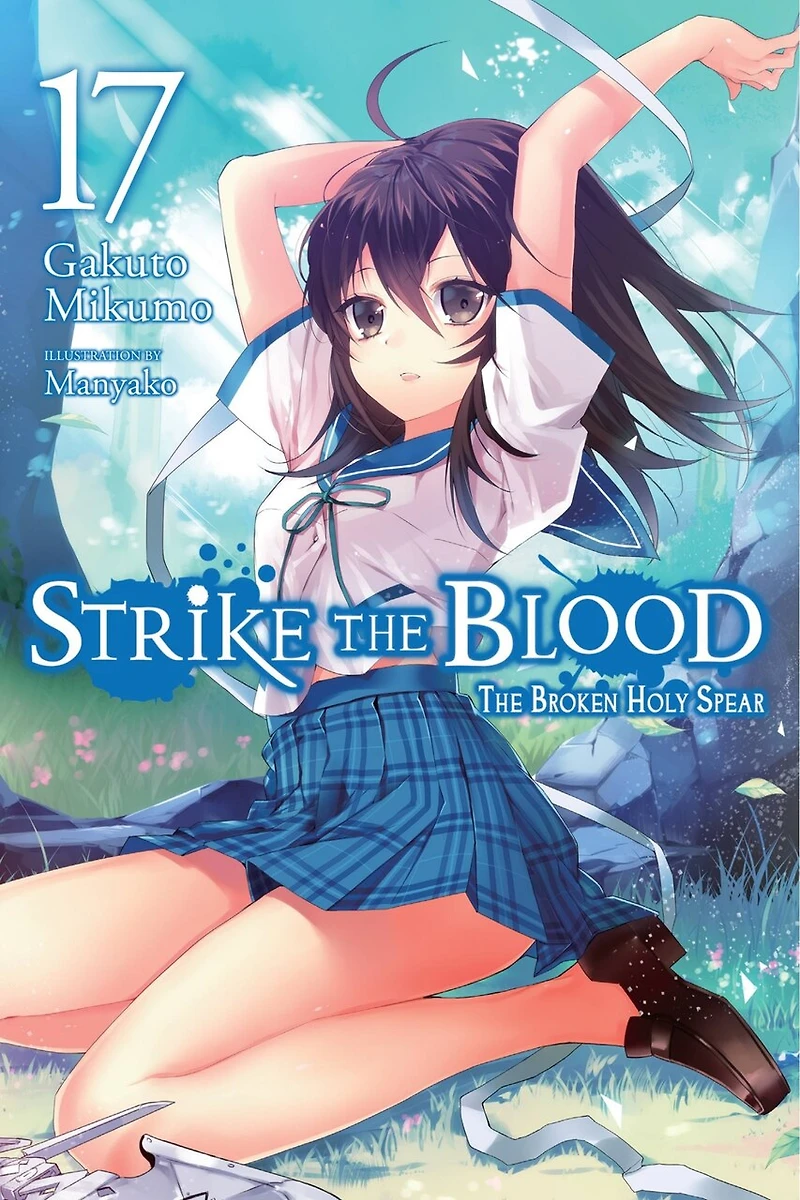 Strike The Blood, Vol. 17 (light Novel): Broken Holy Spear