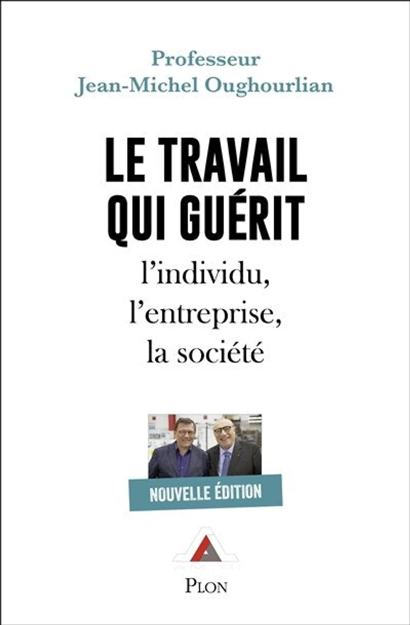 Le travail qui guérit: l'individu, l'entreprise, la société