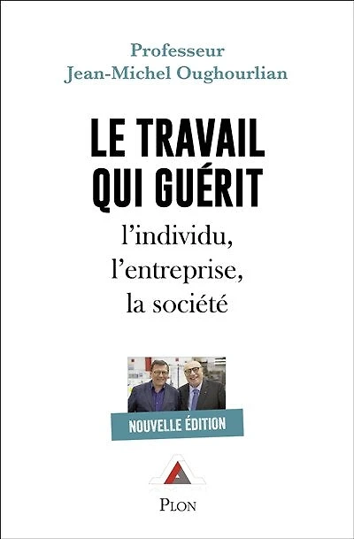 Le travail qui guérit: l'individu, l'entreprise, la société