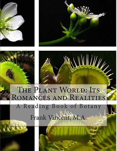 The Plant World: Its Romances and Realities: A Reading Book of Botany