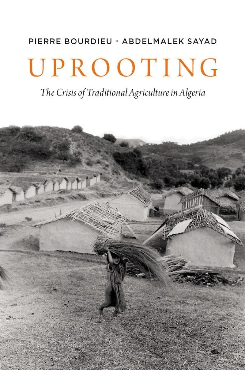 Uprooting: The Crisis Of Traditional Algriculture Algeria