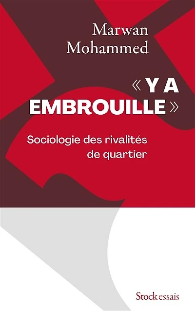Y a embrouille: sociologie des rivalités de quartier