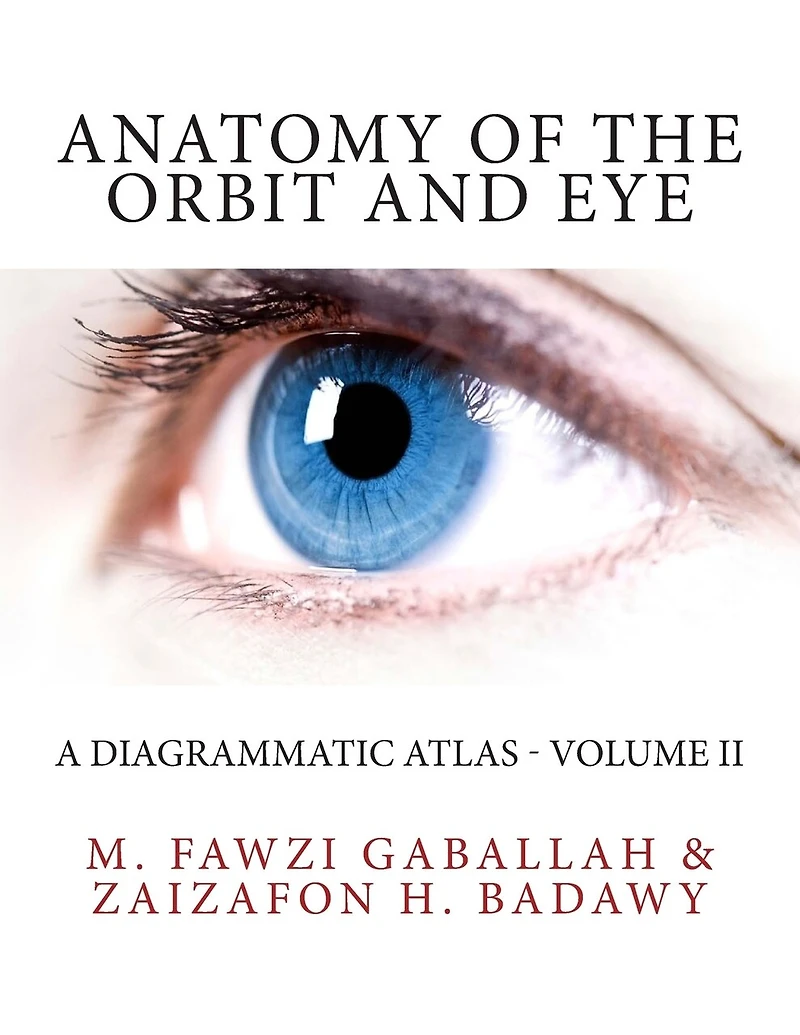Anatomy of the Orbit and Eye: A Diagrammatic Atlas - Volume II