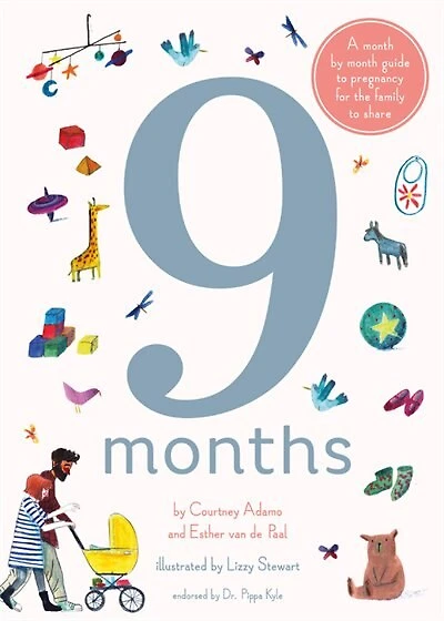 9 Months: A Month By Month Guide To Pregnancy For The Family To Share