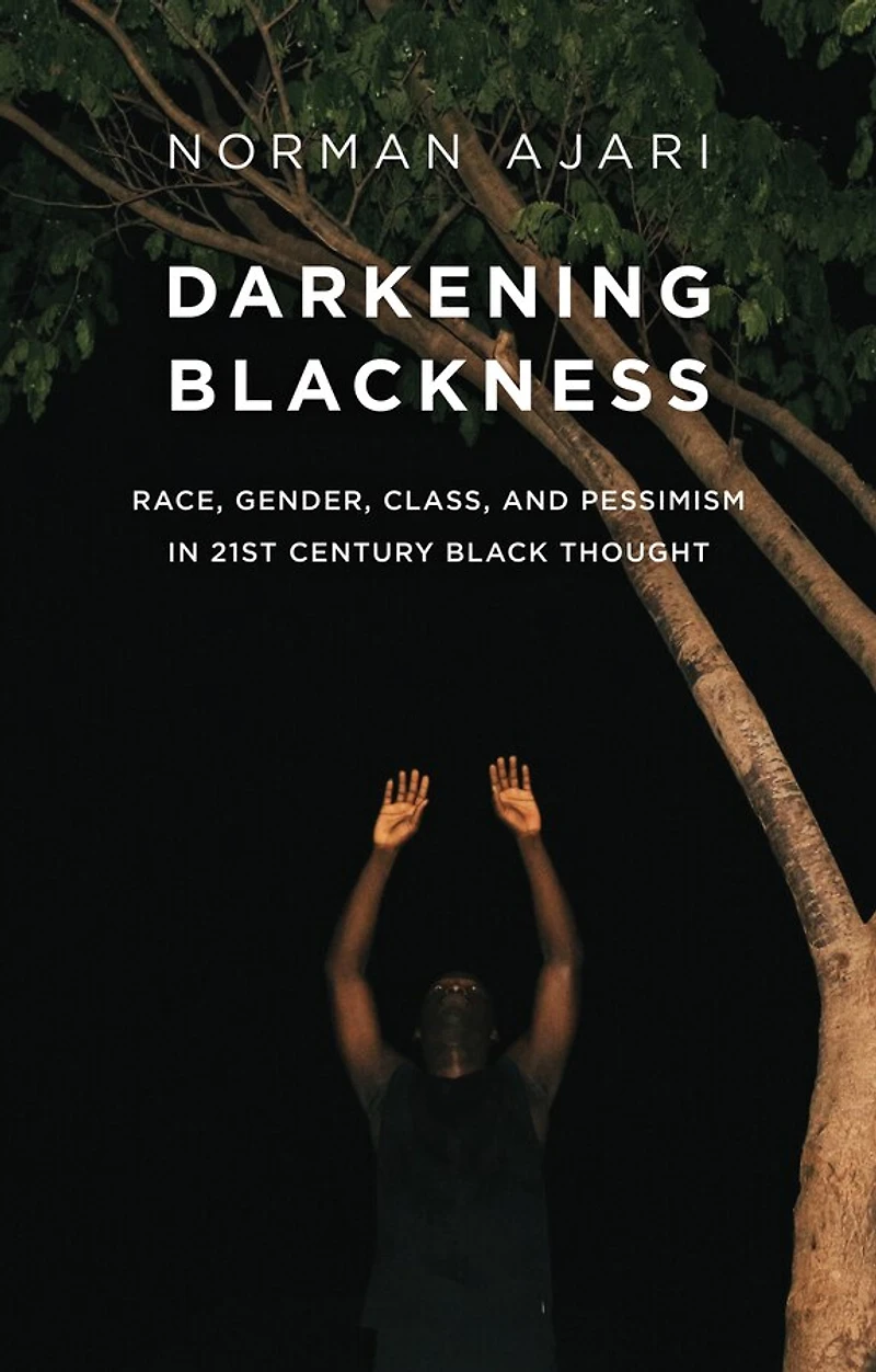 Darkening Blackness: Race, Gender, Class, and Pessimism 21st-Century Black Thought