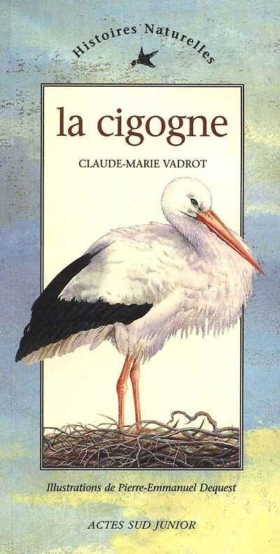 La cigogne