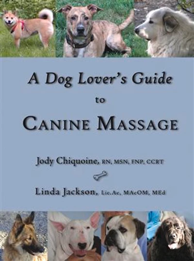 A Dog Lover's Guide to Canine Massage