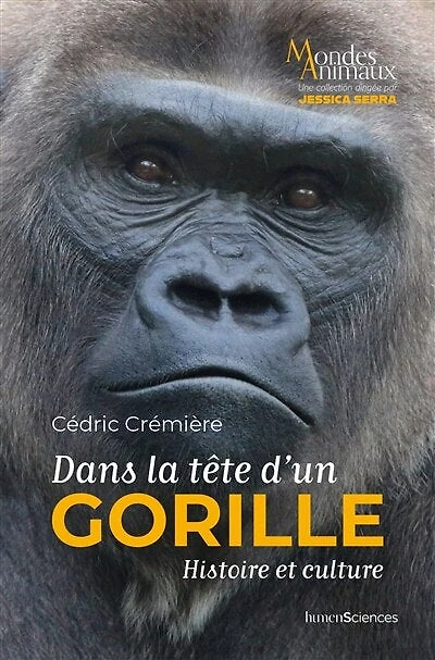 Dans la tête d'un gorille: histoire et culture
