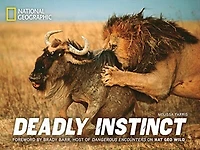 Deadly Instinct