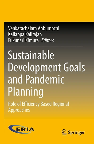 Sustainable Development Goals and Pandemic Planning: Role of Efficiency Based Regional Approaches