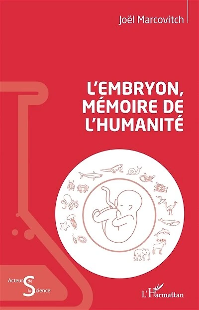 L'embryon, mémoire de l'humanité